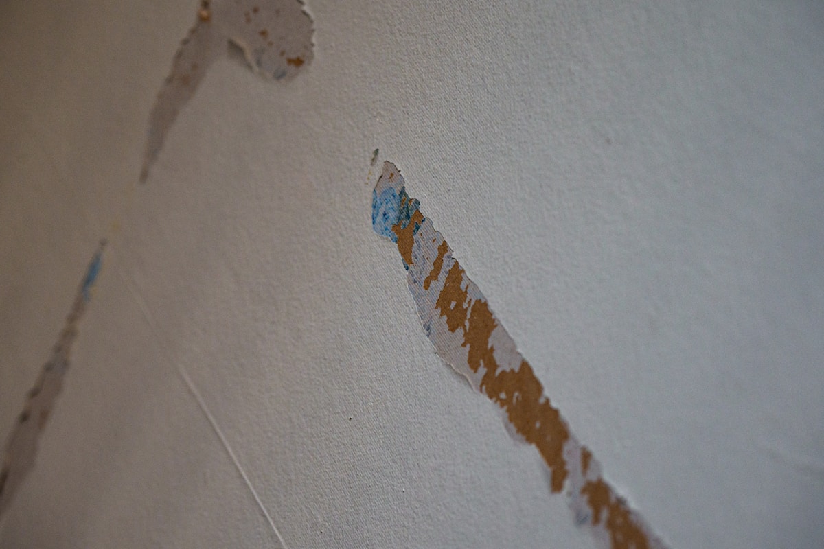 Water Extraction service in Glens Falls, NY